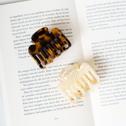 [CP-EVI-BRO] CLIPS Evi